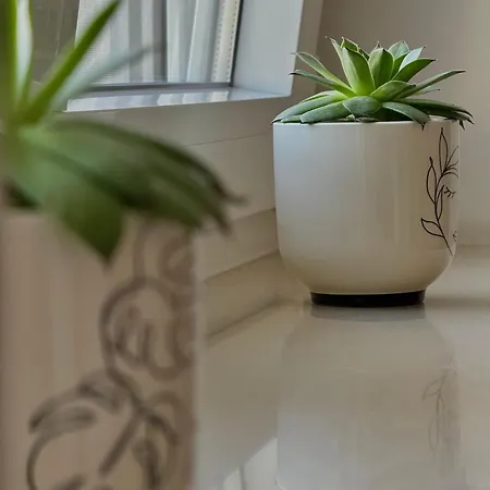 Niki *